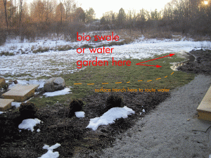 Spring project will be to address the surface water issue by reworking the topography by hand to get the water to drain.