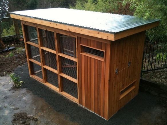 Another coop we saw on Pinterest. I like this one too and it fits our style.