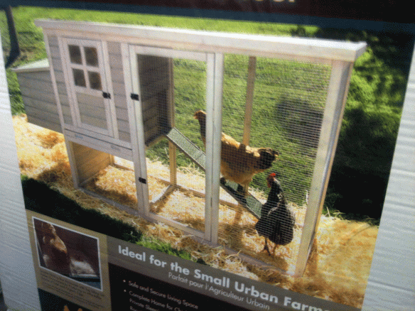 This is the coop I saw at Rural King but it apparently got bad reviews for quality. It holds four birds.