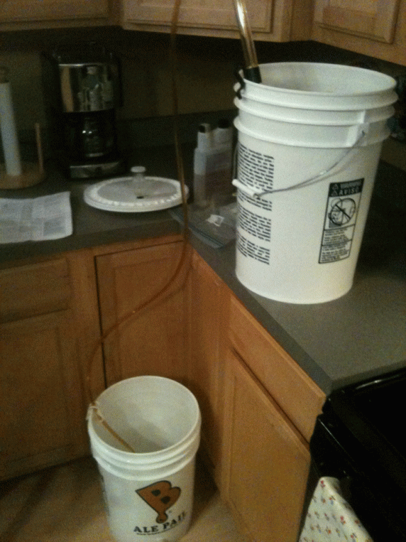 Transferring beer from one bucket to another.