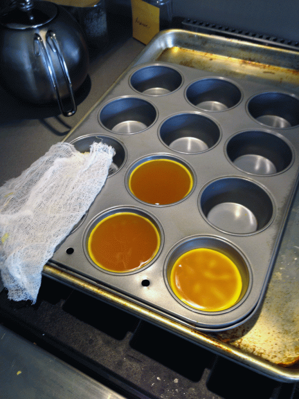Bees wax cooling in a simple muffin pan to make bees wax muffin shaped blanks.