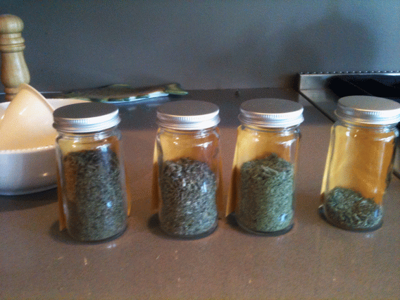 Mint, catnip, oregano, and rosemary in 4 oz. jars. It didn't take much to yield this much dried herbs.