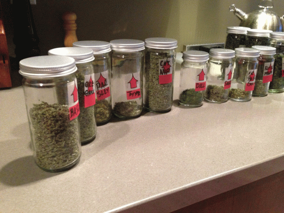 I borrowed jars that were supposed to be for honey to put my dried herbs in. I need to make labels.