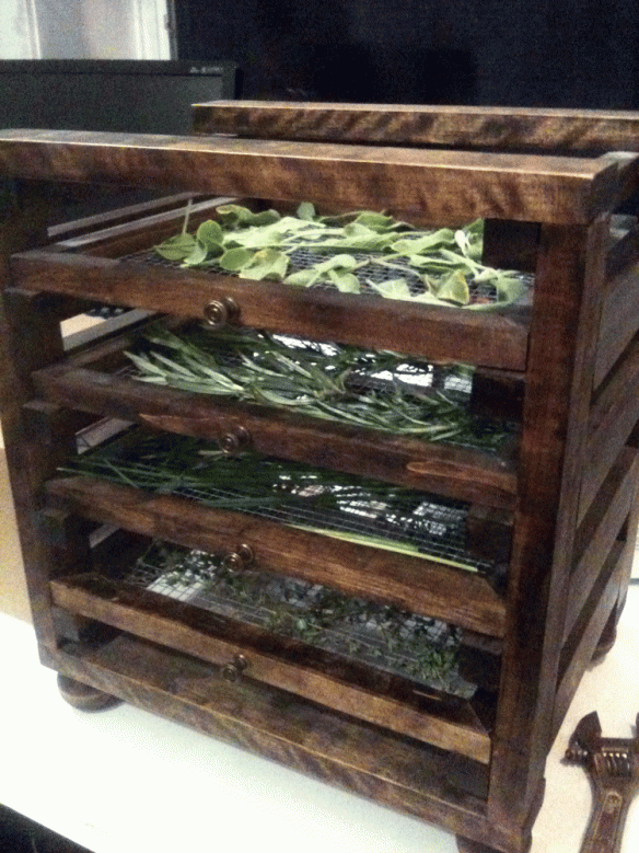 A drying rack for chives, sage, rosemary, and thyme.