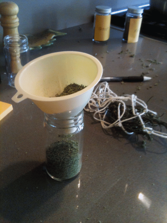 herbs-in-jar