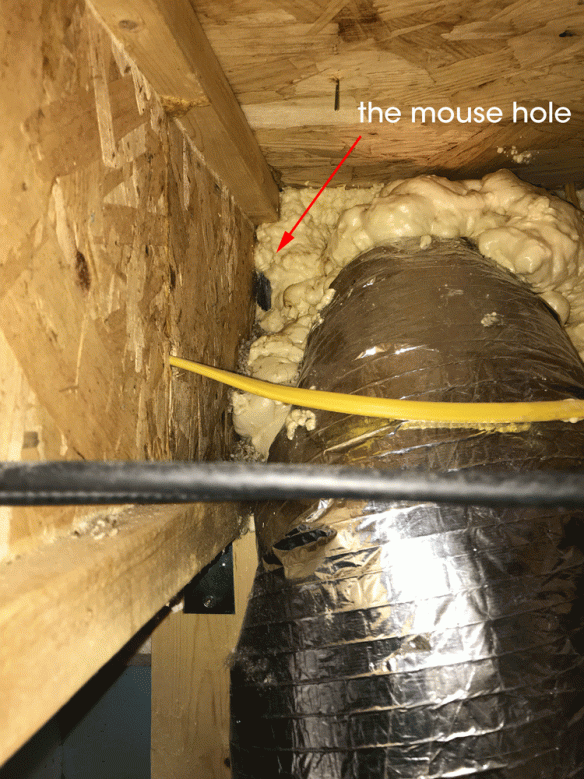 the-mouse-hole